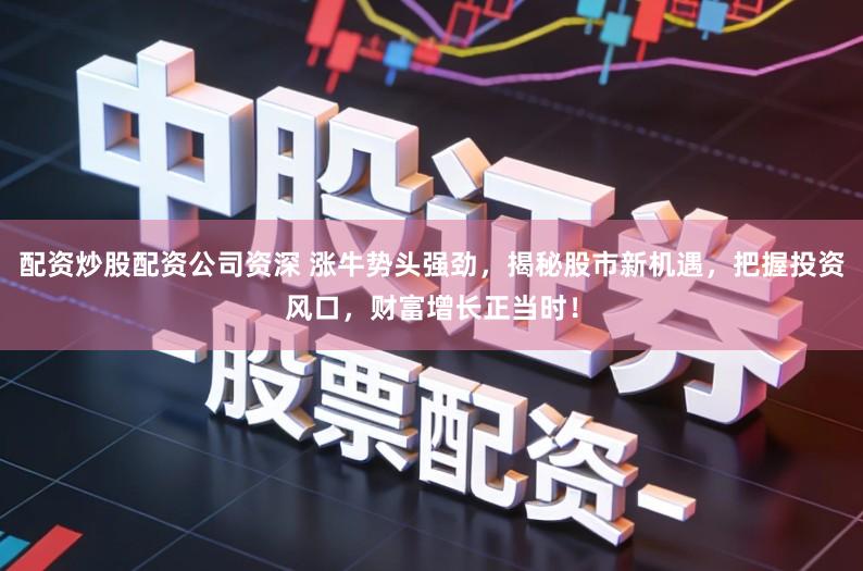 配资炒股配资公司资深 涨牛势头强劲，揭秘股市新机遇，把握投资风口，财富增长正当时！