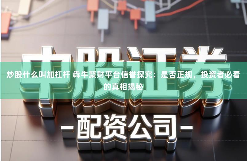 炒股什么叫加杠杆 犇牛聚财平台信誉探究：是否正规，投资者必看的真相揭秘